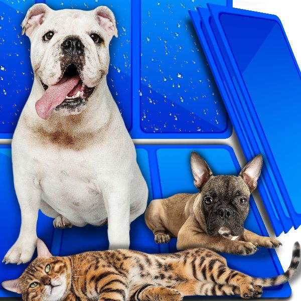 Levně Chladící Podložka 50x90 cm Pelíšek Pro Psa Kočku 34