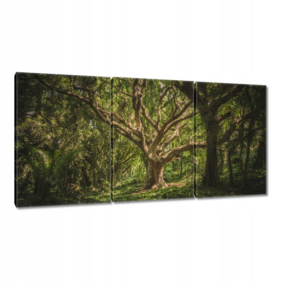 

Obrazy 120x60 Drzewo w parku