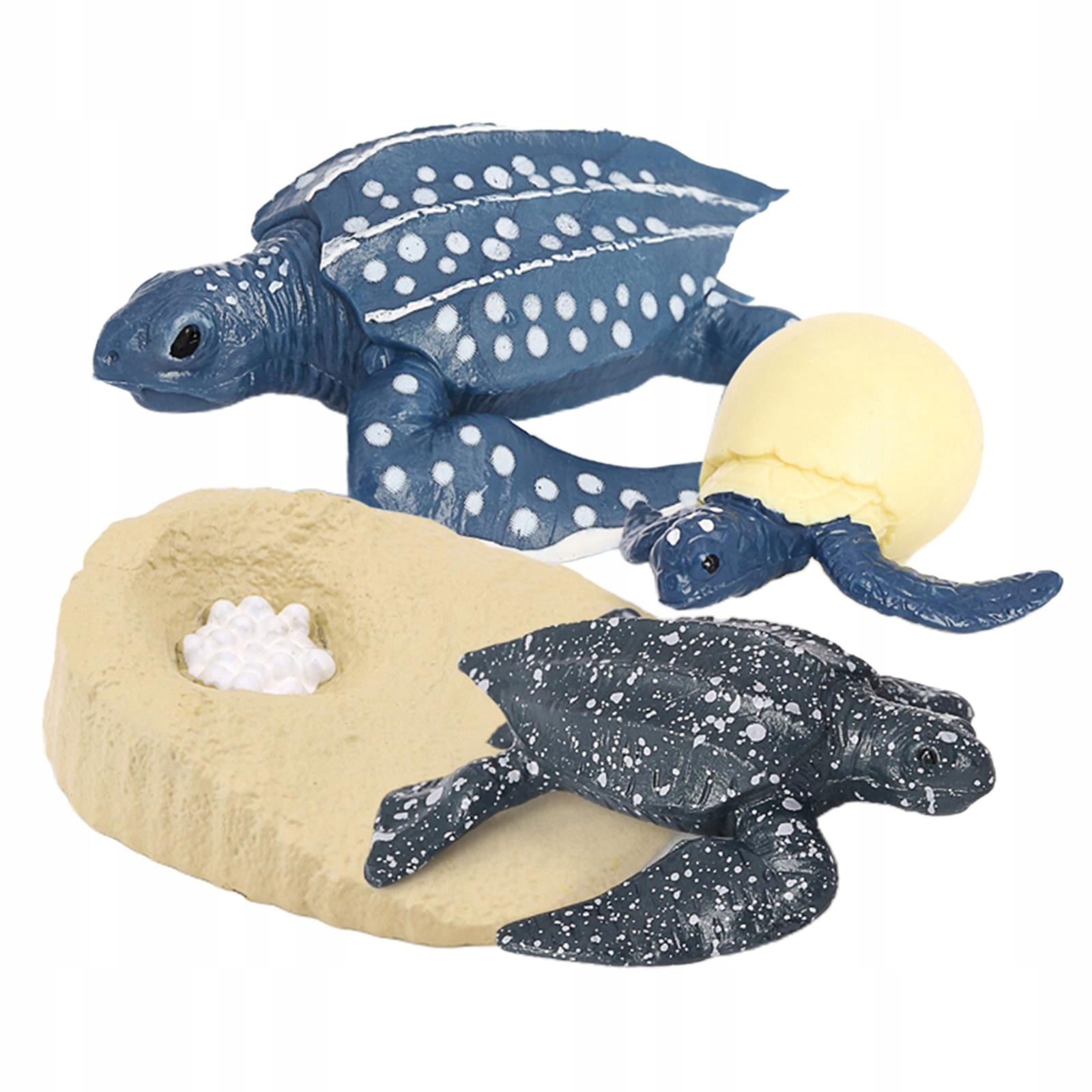 Simulation Animals Growth Cycle Leatherback Turtle