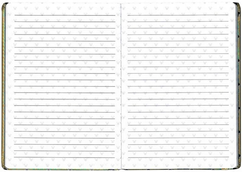 NOTES HOLOGRAFICZNY A5  4350