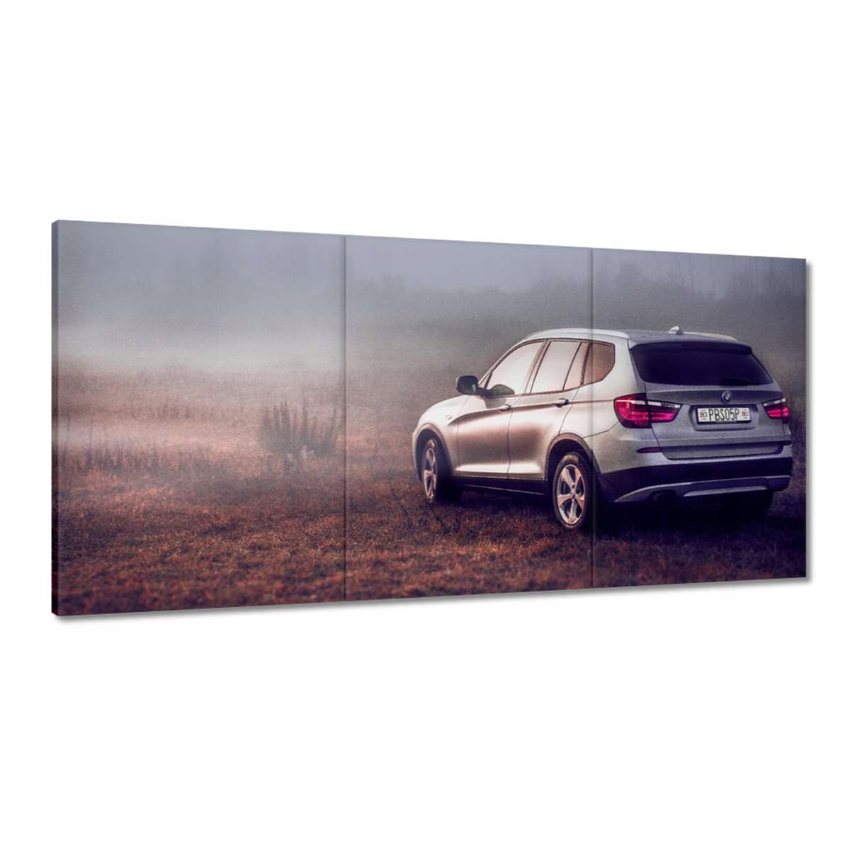 Obrazy 180x90 Bmw X3