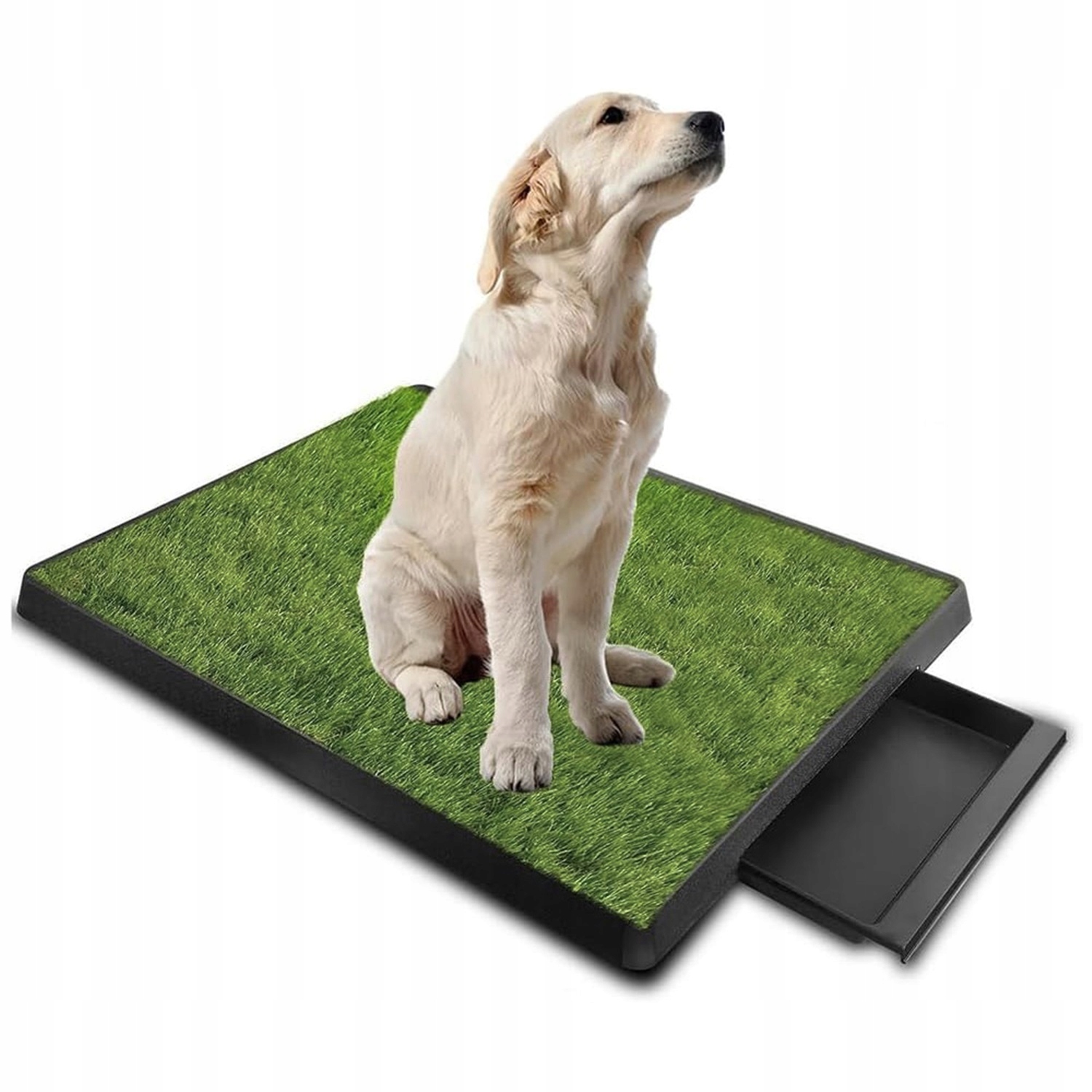 Levně Tráva Umělá Podložka Pro Zvířata Bez Toxických Látek