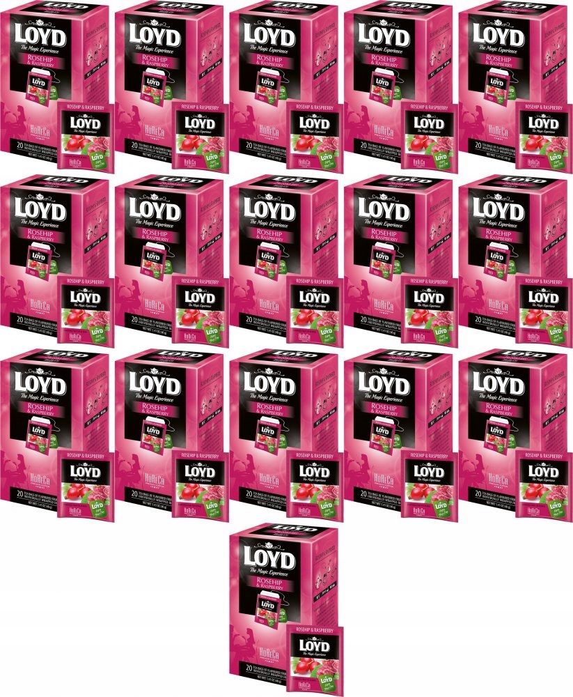 Herbata w kopertach Loyd Horeca Premium dzika róża i malina 20szt x16