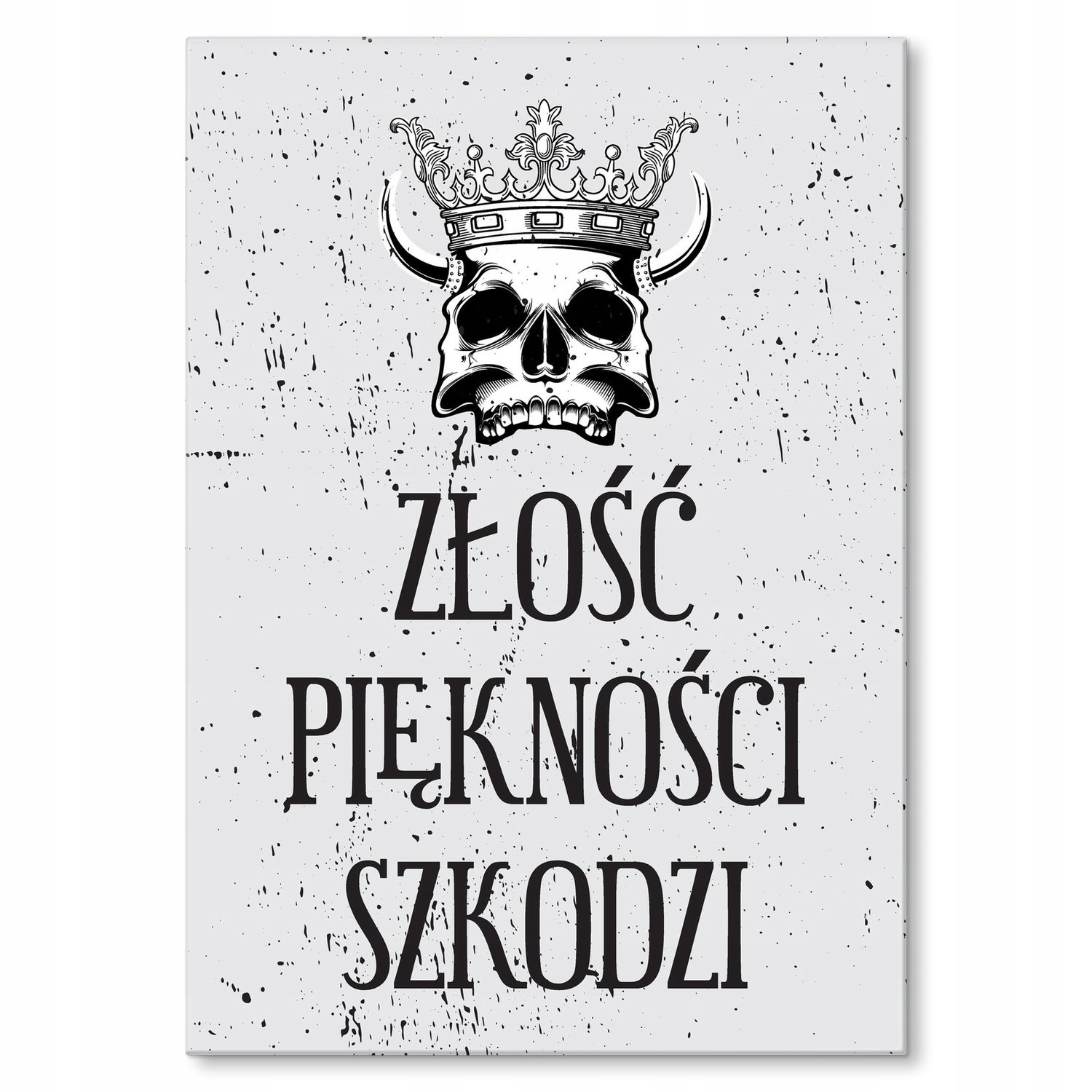 Kovový plakát Hněv krásy škodí L