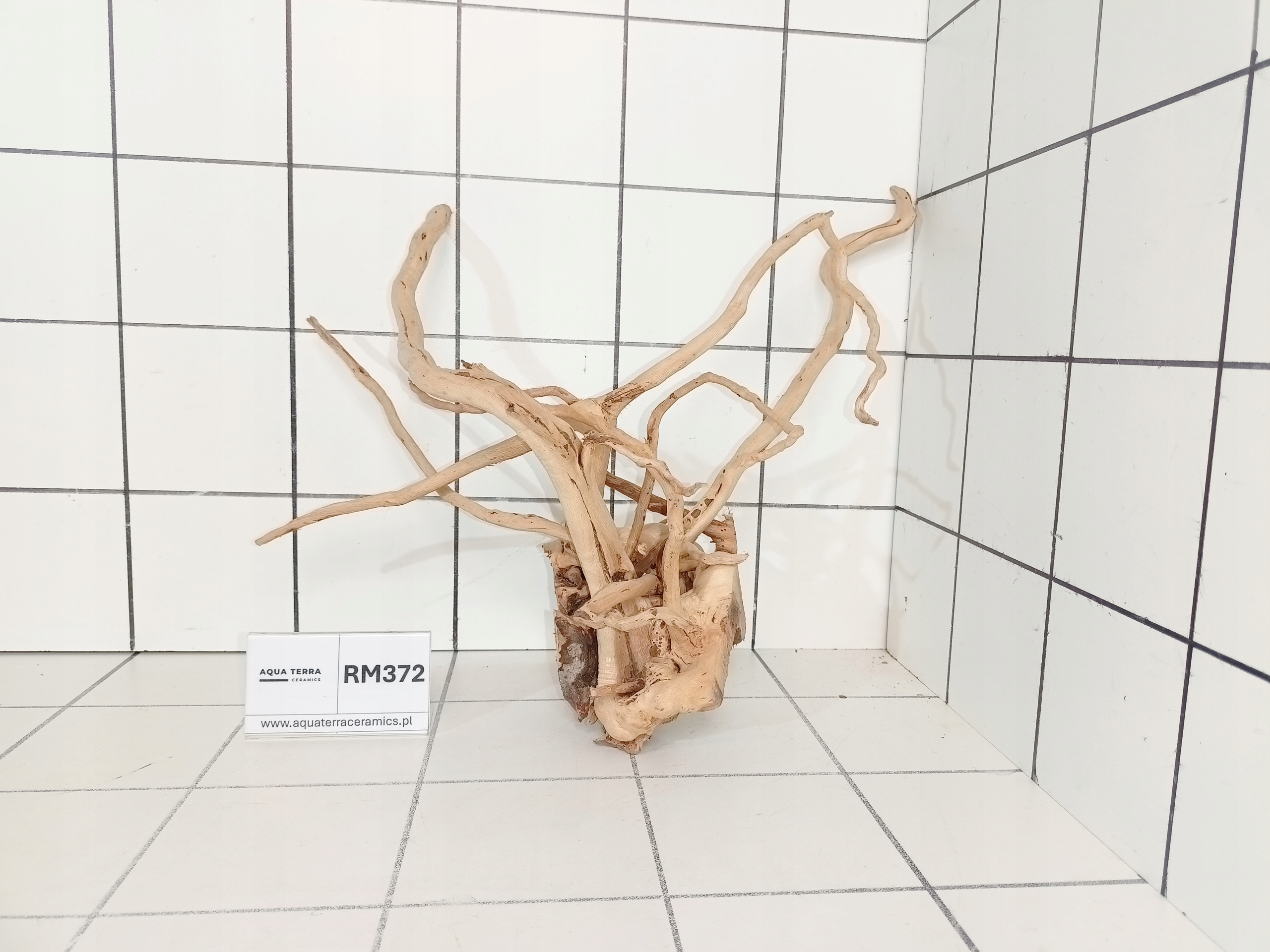 Korzeń Japoński Do Akwarium Terrarium Red Moor RM372 (to co na zdjęciu)