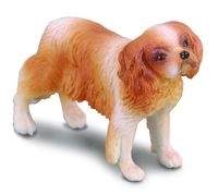 

Pies Rasy Spaniel Cavalier King Charles