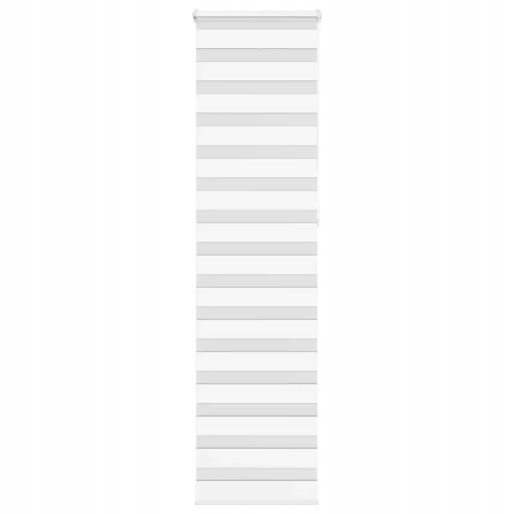 Zebra roleta bílá 65x230 cm šířka látky 60,9 cm polyester Bílá 4014800