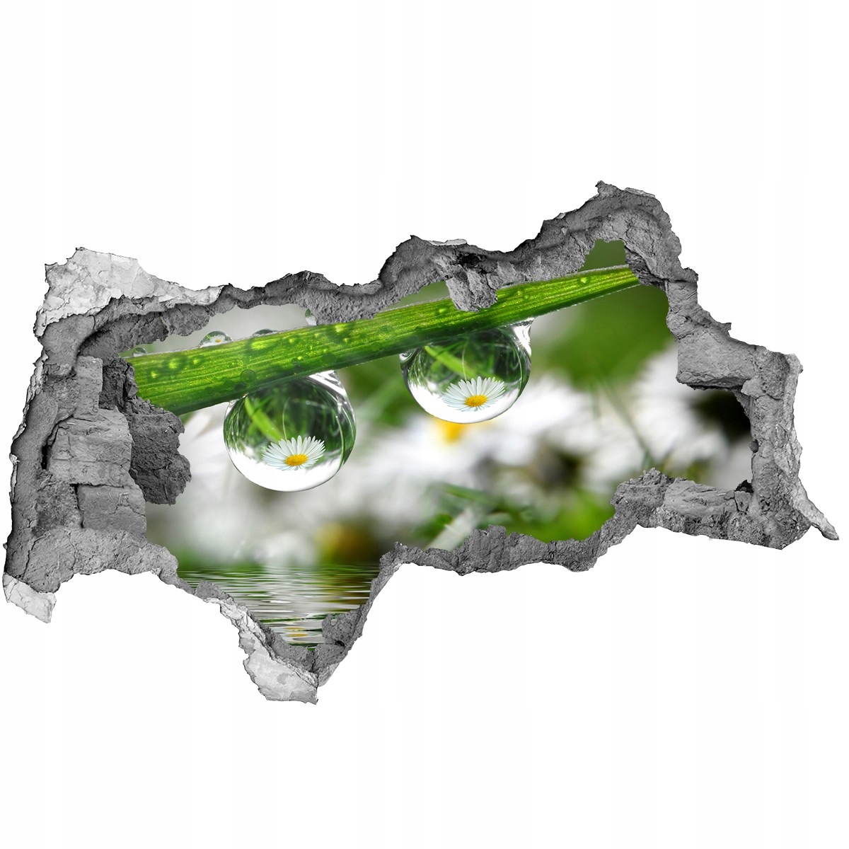 

Samoprzylepna dziura Naklejka Krople na trawie