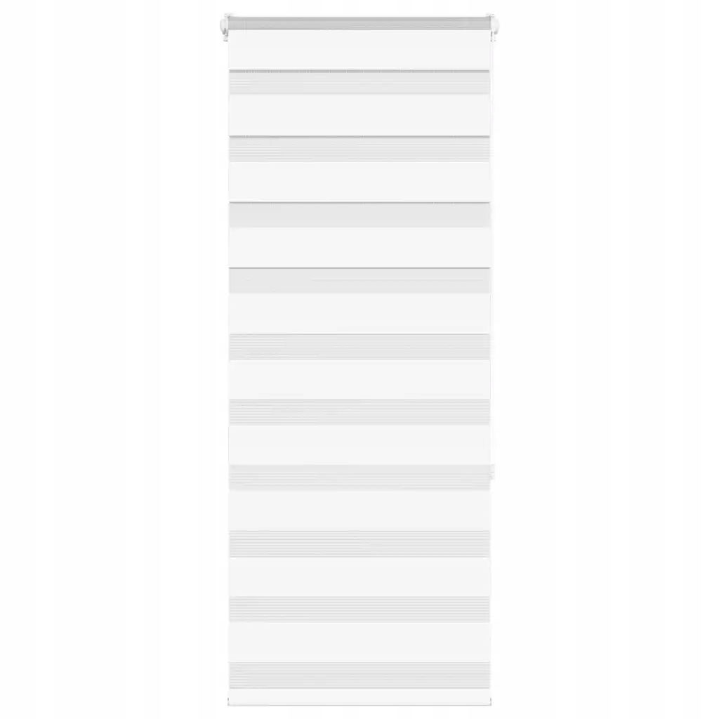 Zebra roleta bílá 55x150 cm šířka látky 50,9 cm polyester Bílá 4014746