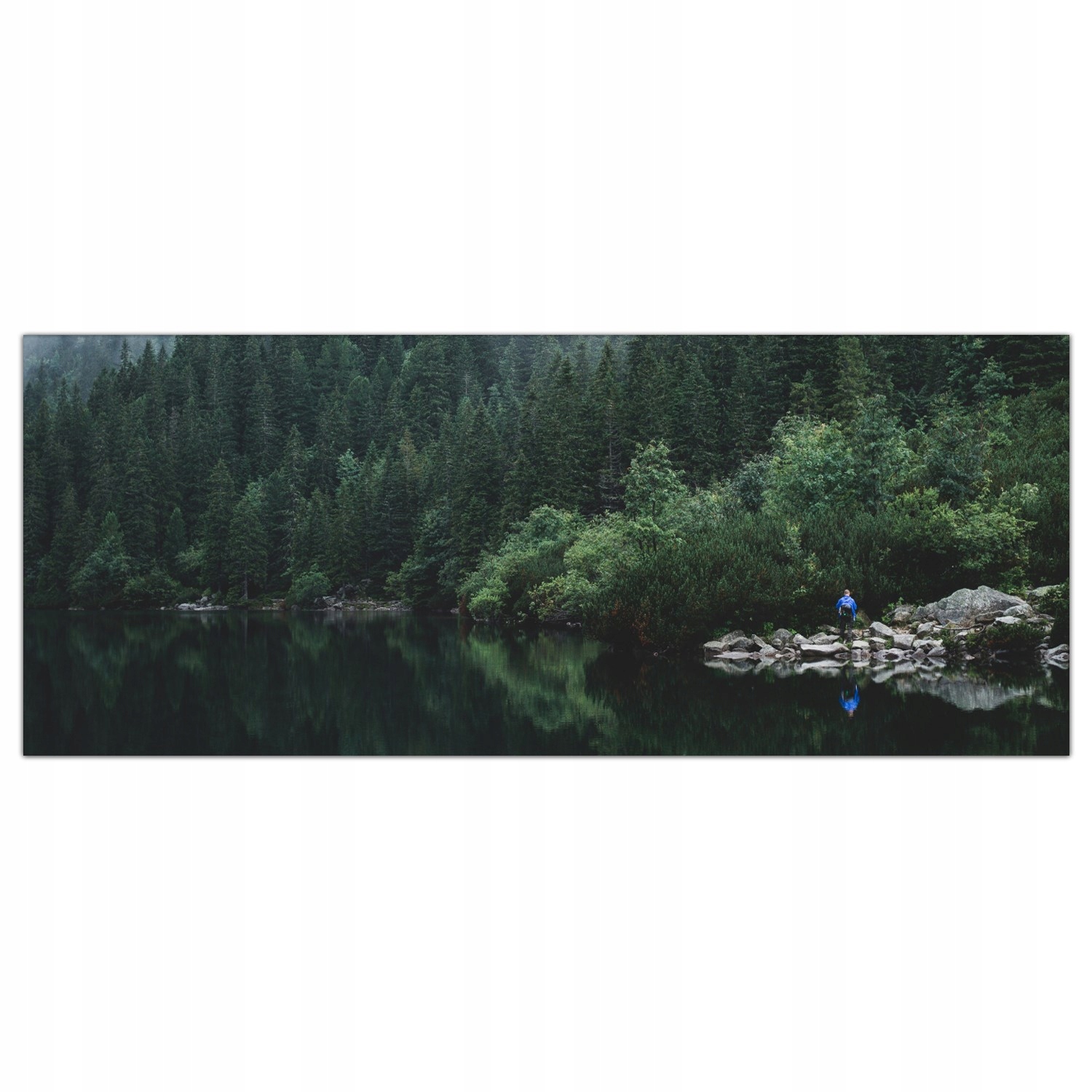 

Obraz na szkle Foto Mgła Góry Las Natura 125x50