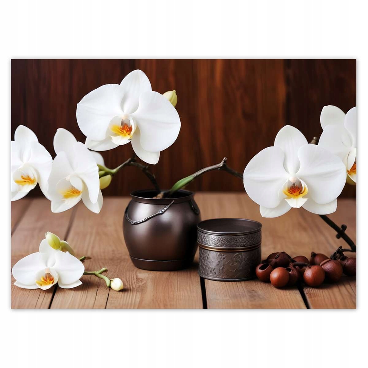 Fototapety 254x184 Biele orchidey