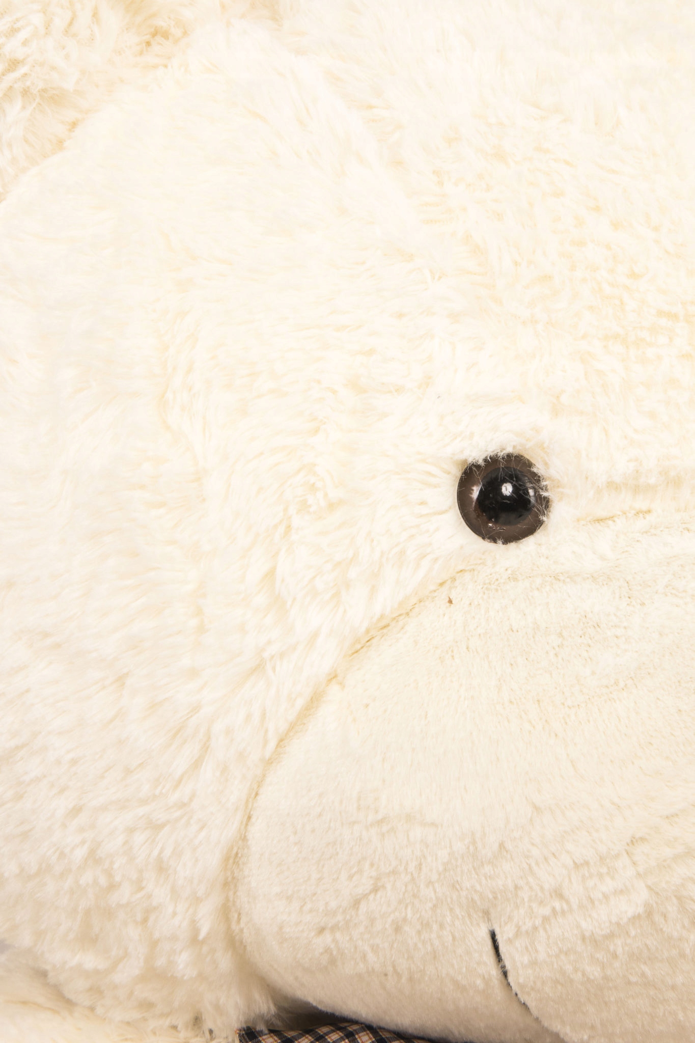 DUŻY WIELKI MIŚ PLUSZOWY GIGANT 160CM CLASSICO P Rodzaj miś