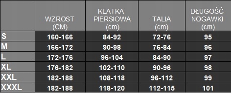 CIEPŁA MĘSKA BIELIZNA TERMOAKTYWNA TERMOPOWER 3XL Materiał dominujący Poliester