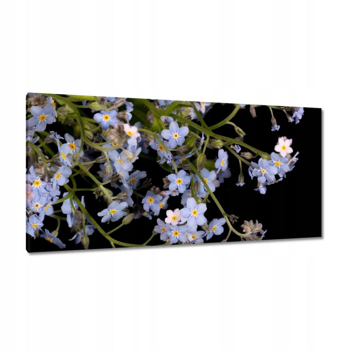 Obrazy 115x55 Květiny Nezapomenutelné