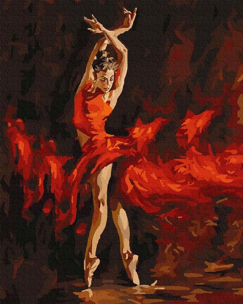 Malování podle čísel iPicasso 50x65 cm na rámu