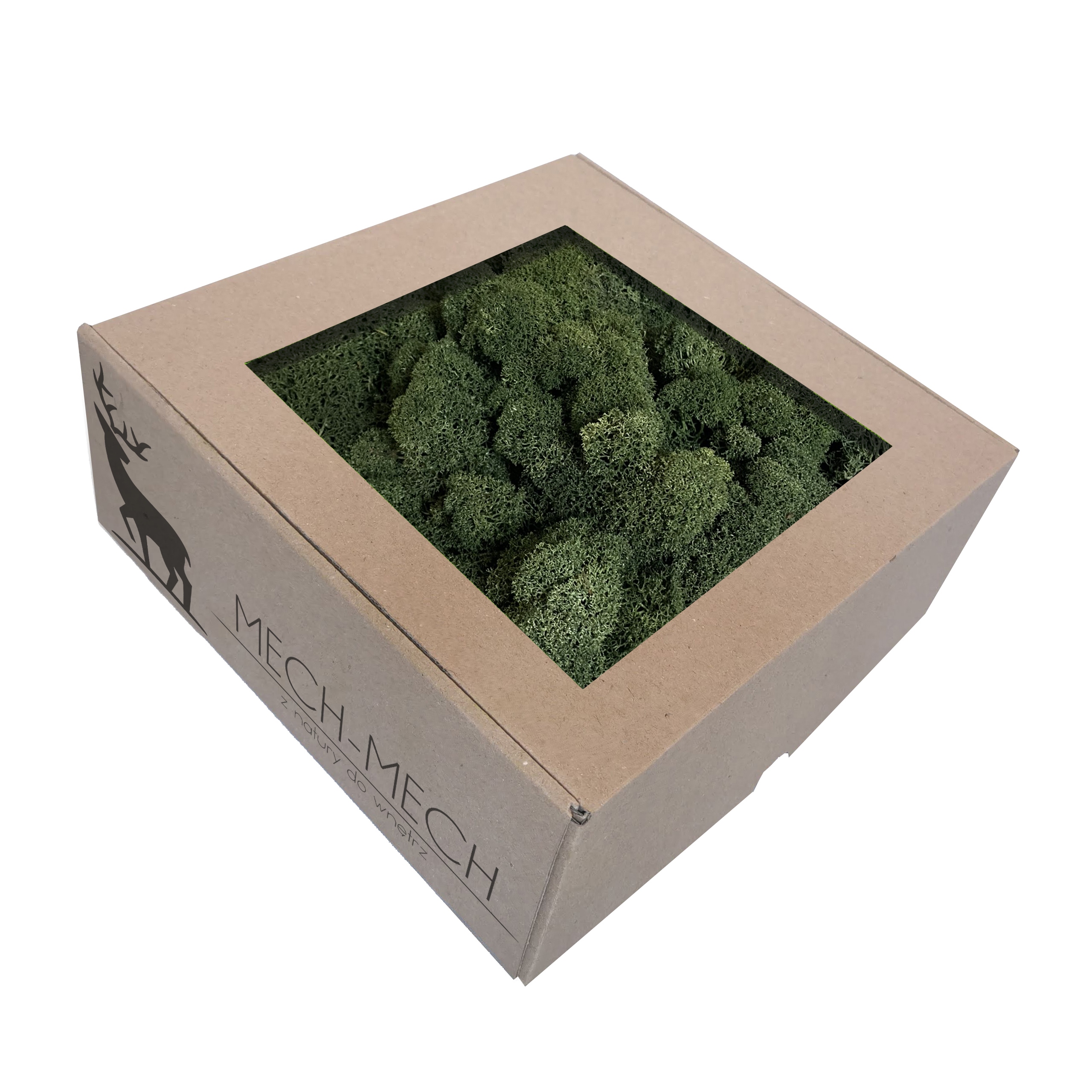 

500g Mech Chrobotek Oczyszczony Ciemny Zielony