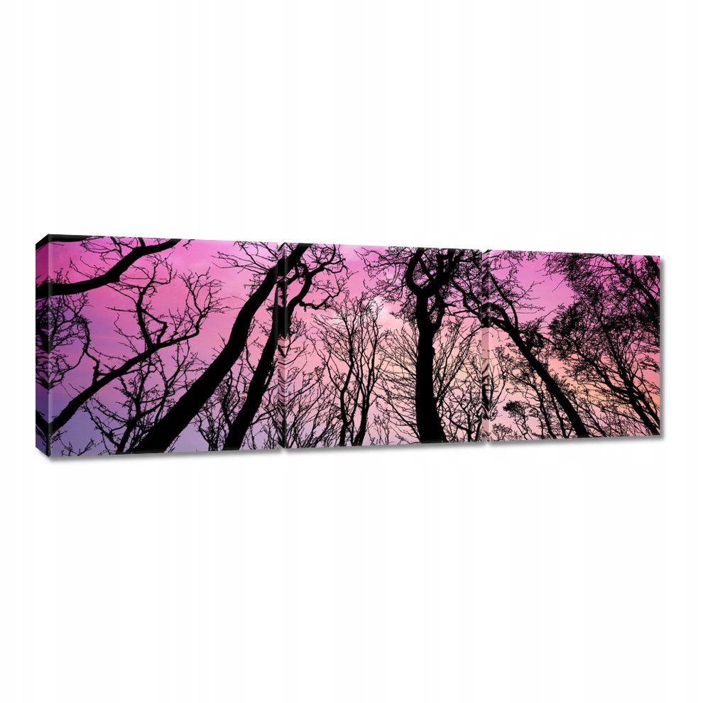 

Obrazy 120x40 Las Drzewa Widok z dołu