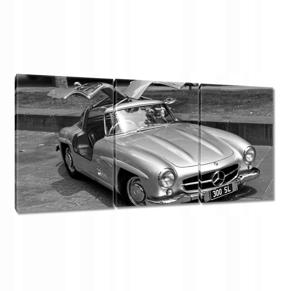 

Obrazy 120x60 Mercedes Gullwing 300SL
