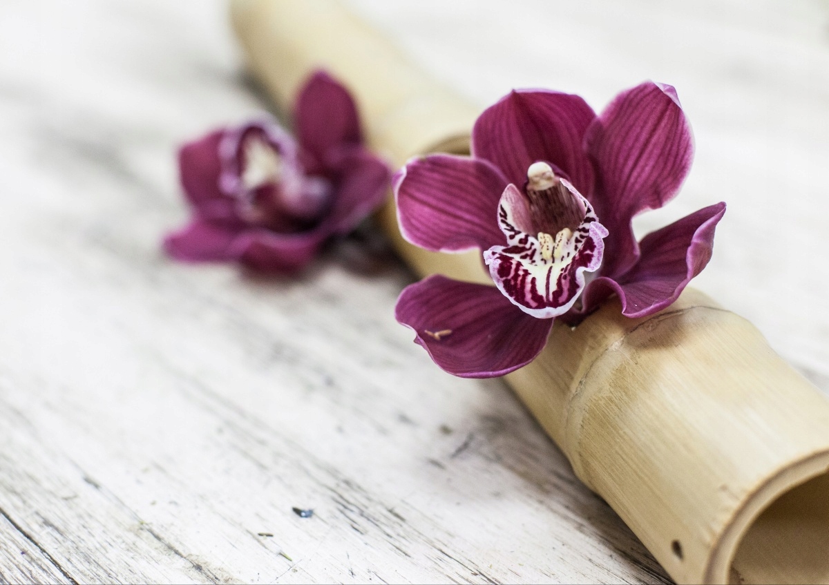 

Fototapeta Flizelinowa Orchidei Drewno 312x219