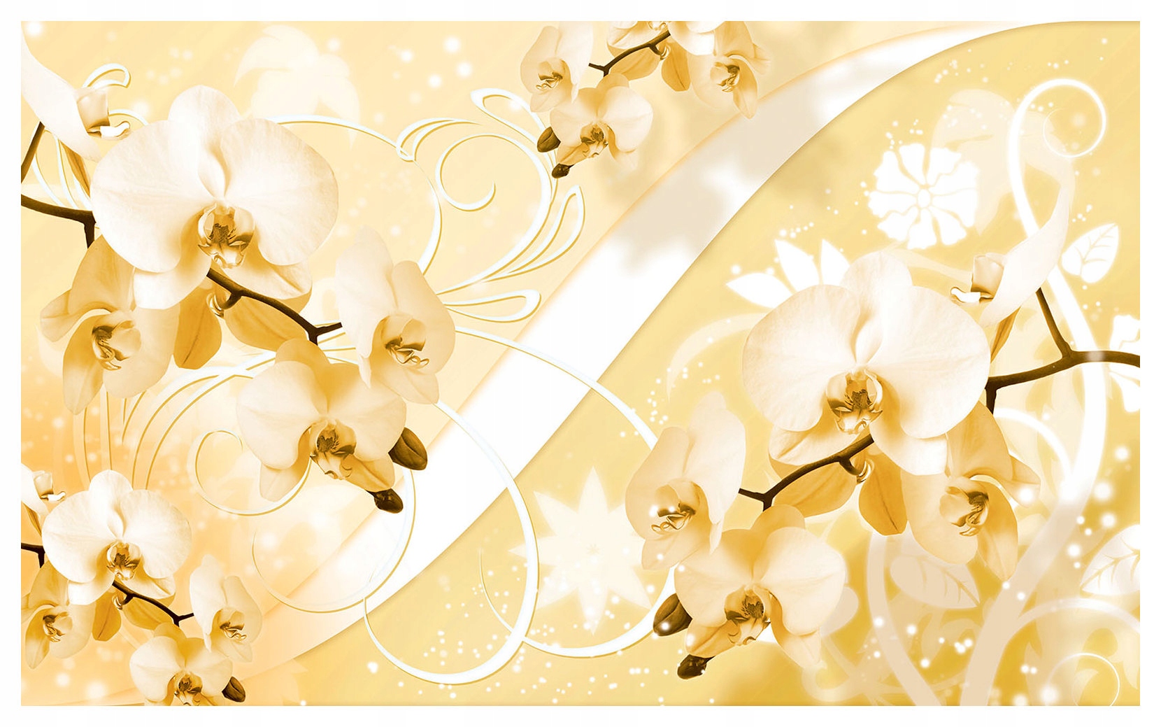 Vliesová fototapeta Bílé orchideje Abstrakce do obývacího pokoje 312x219 lepidlo