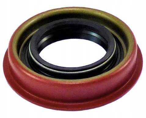 USZCZELNIACZ MOSTU TYLNEGO FORD F-150 (99-16)