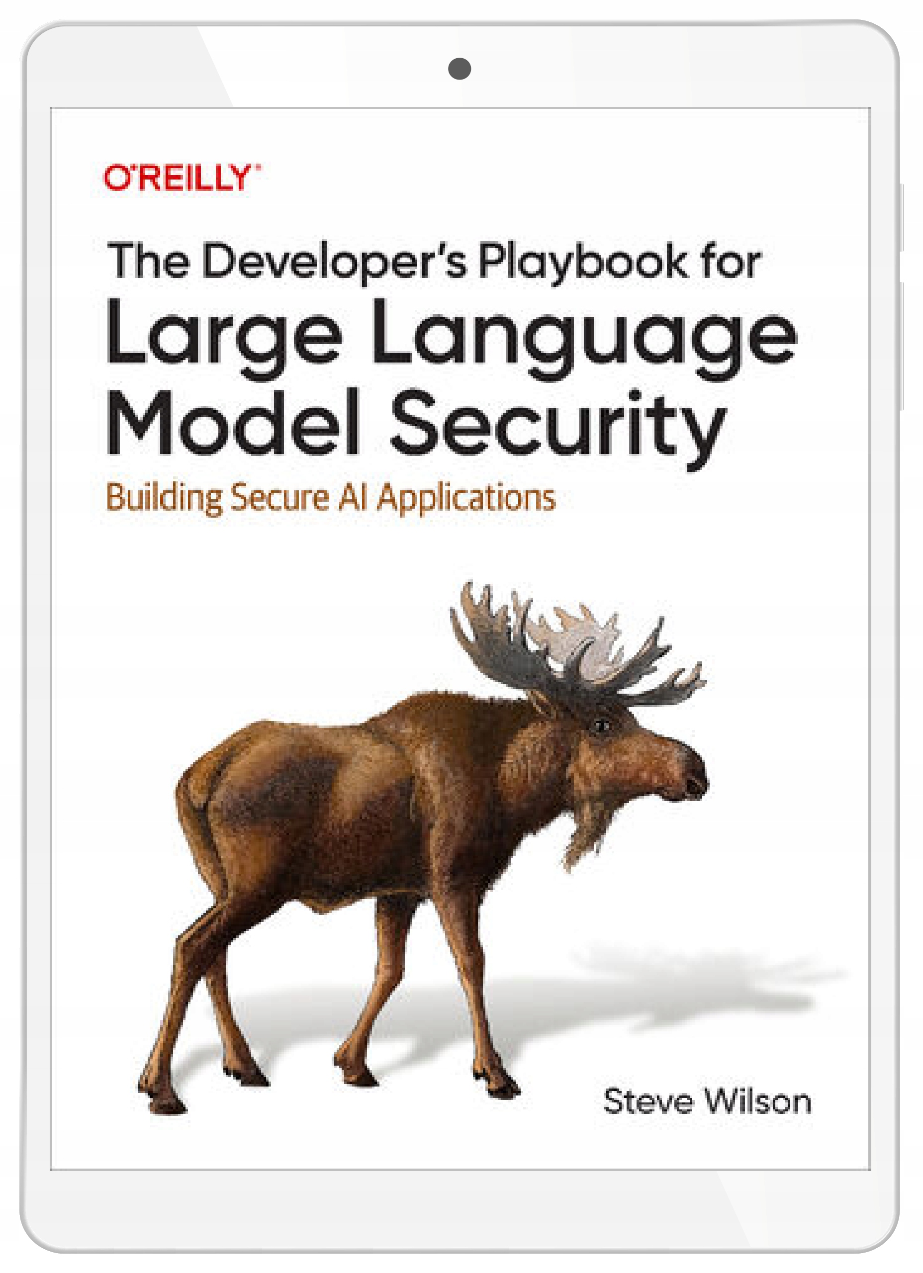 The Developer's Playbook for Large Language Model