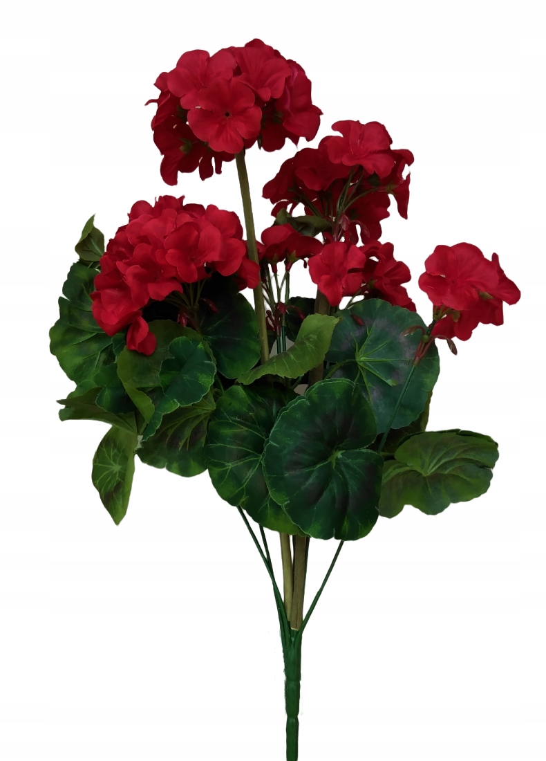 

Bukiet Pelargonia kwiaty sztuczne gałązka 45 cm