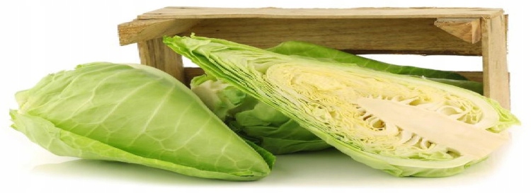 BECZKA PLASTIKOWA 40L ATEST PZH NAJTANIEJ Pojemność 40 l