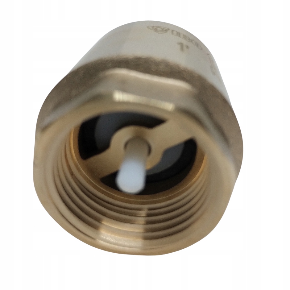 IBO Zawór zwrotny 1"do pomp IBO plastikowy wkład Marka IBO Dambat