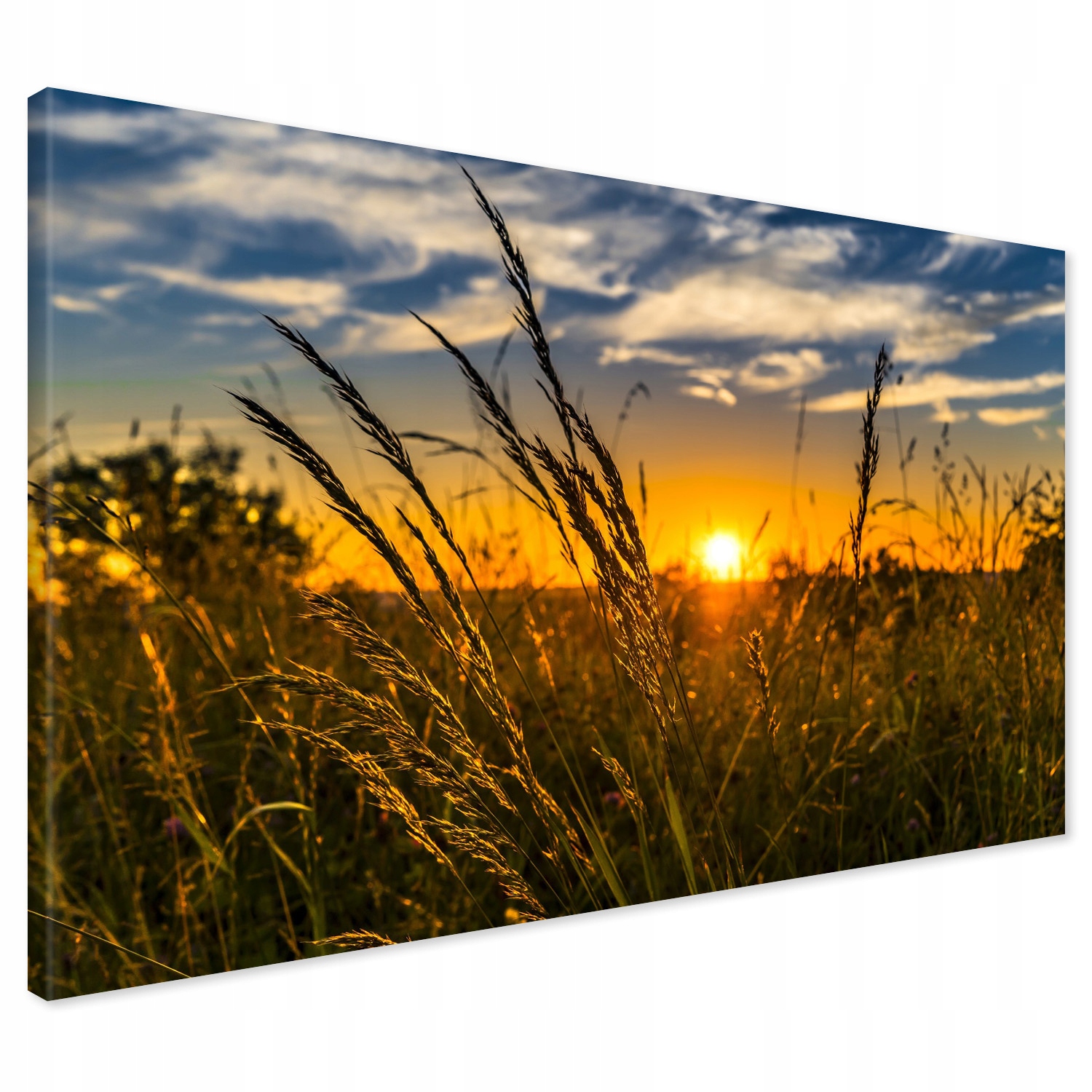 

Obraz na płótnie zachód słońca łąka 100x70