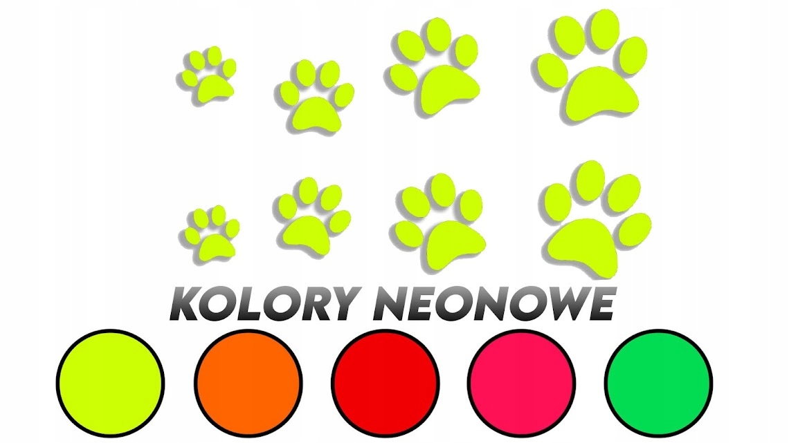 

Naklejki łapki kot pies 8 sztuk neony