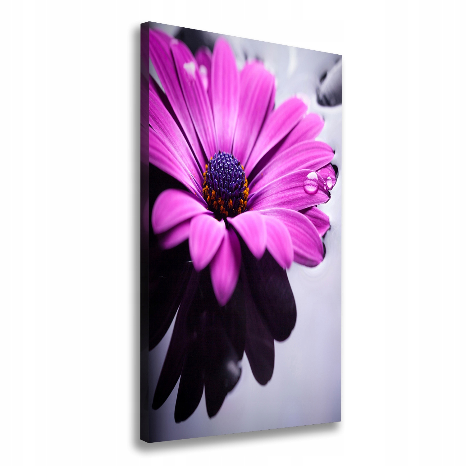 

Foto-obraz canvas do salonu Różowa gerbera 50x100