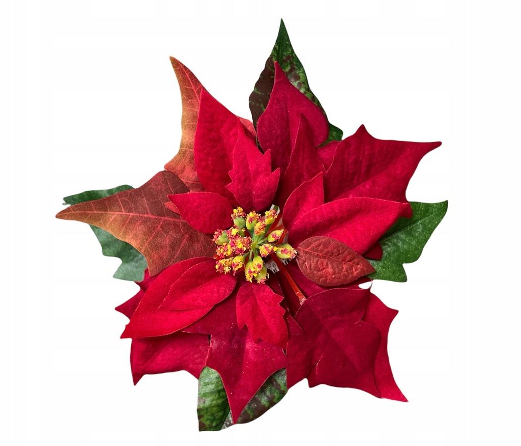 

Ozdoby Świąteczne Gwiazda Betlejemska Na Piku