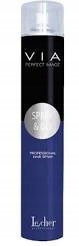 

Le Cher Via Spray&Go lakier 750ml