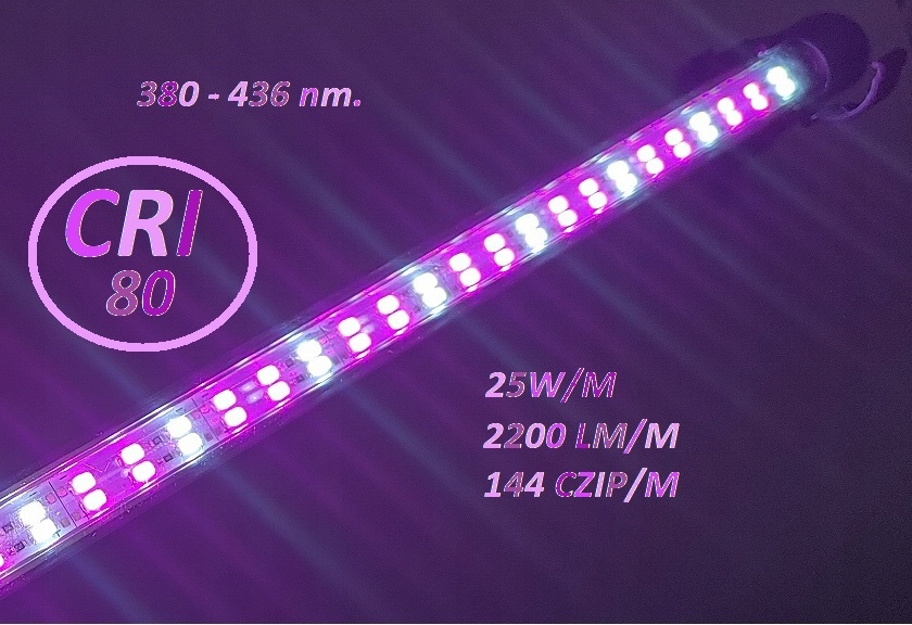 LAMPA ŚWIETLÓWKA LED GROW 35W IP65 ROŚLINY 30 cm Marka MAXIM