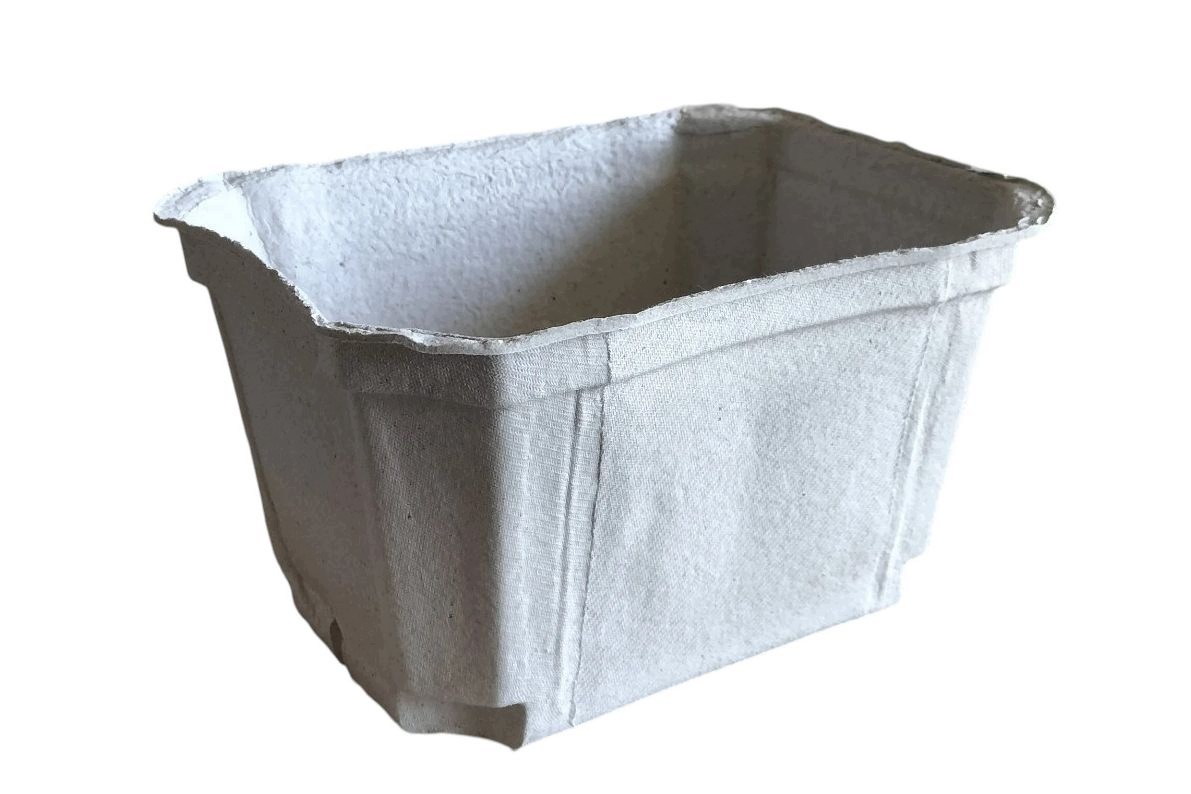 Pojemniki na maliny 1 Kg 100 szt owoce agrest