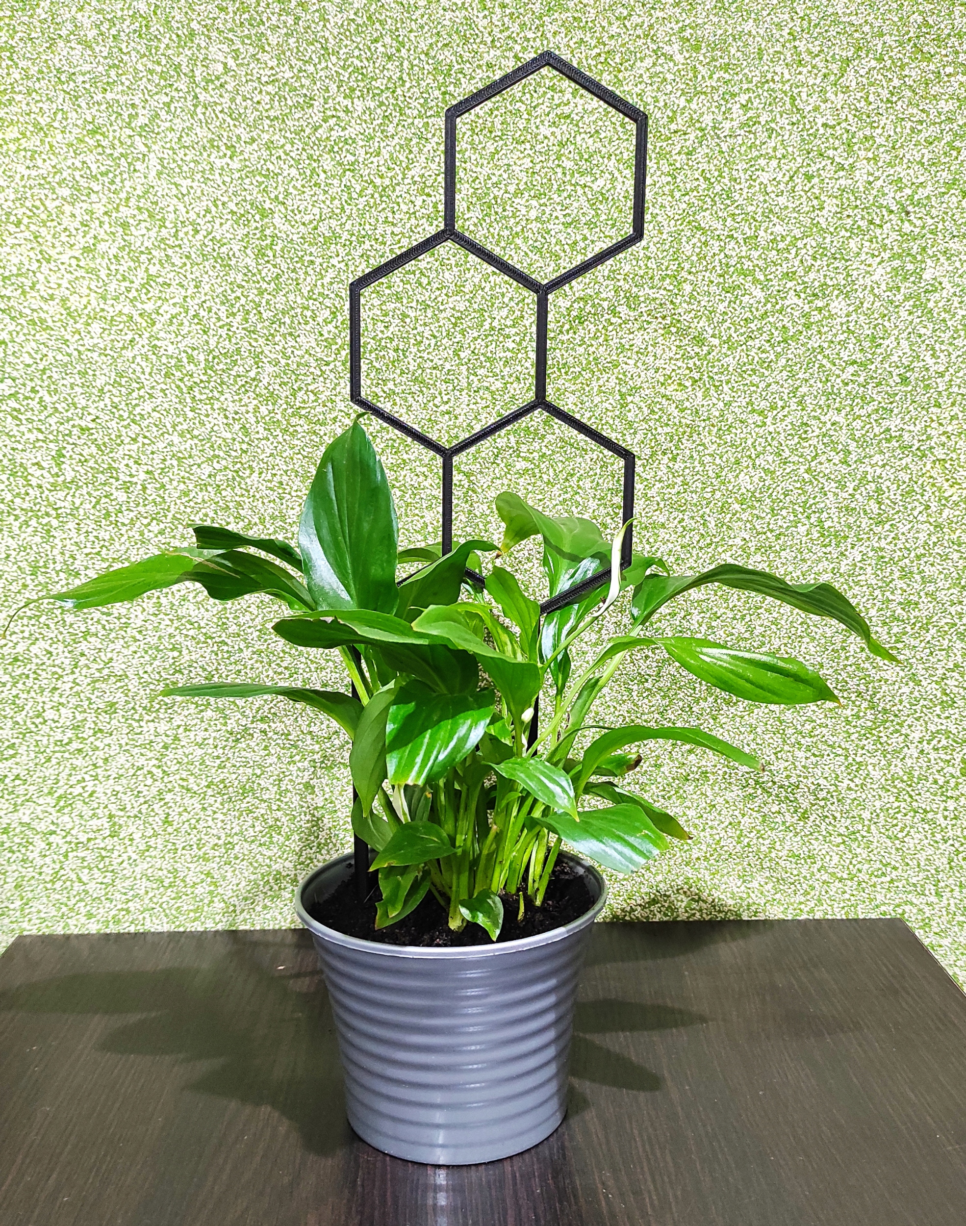 PODPÓRKA KWIATÓW ROŚLIN DRABINKA PERGOLA HEX 37cm Rodzaj drabinka