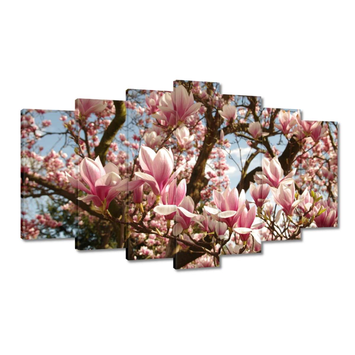 Obrazy 140x80 Magnolie Květiny Světle Modrá