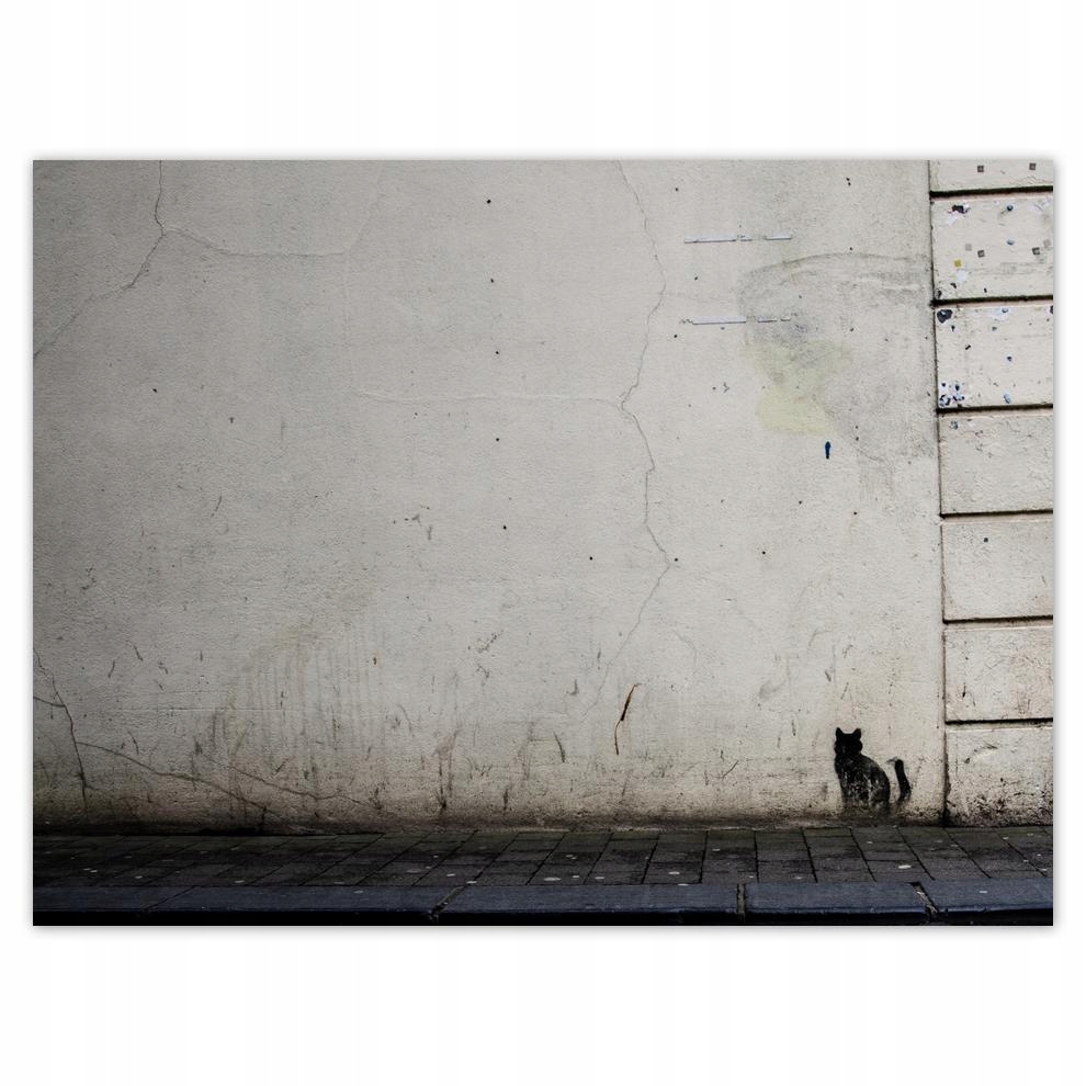 

Plakat 40x30 Kot Kotek Kotki Kicia