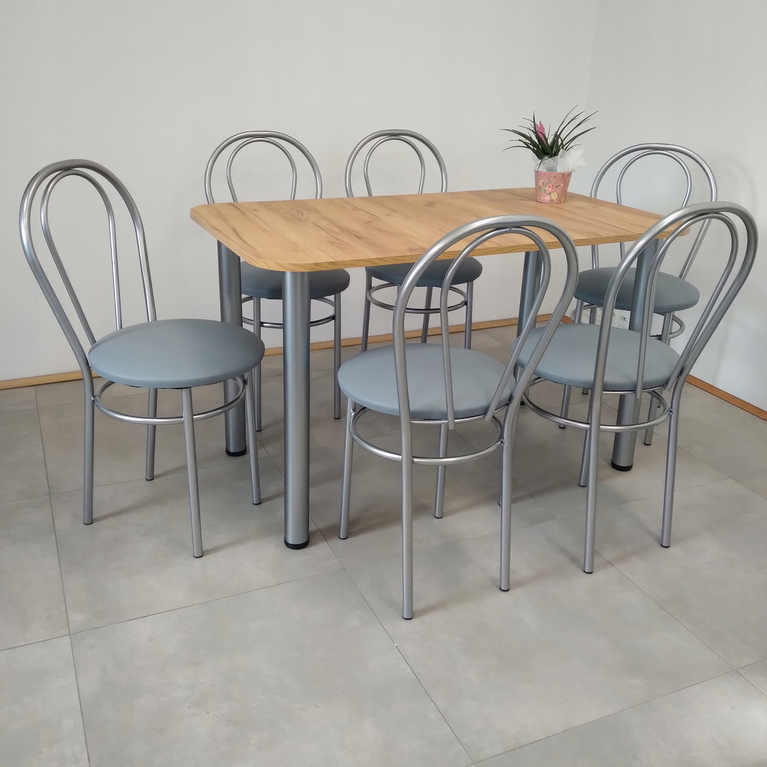 Zestaw stol 120/69 + 6 krzesla tulipan SREBRNE Długość stołu 120 cm