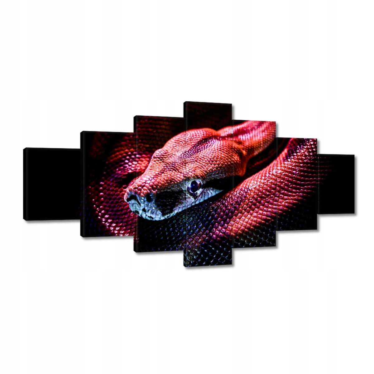 Obrazy 210x100 Zvířata Zvířátka