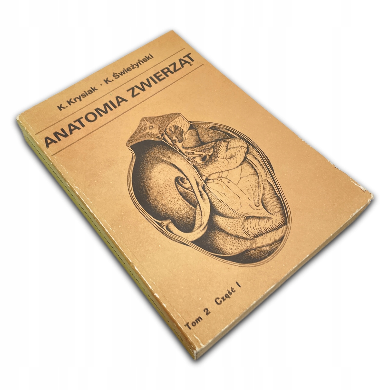 Anatomia zwierząt tom 2 cz 1 Krysiak Świeżyński