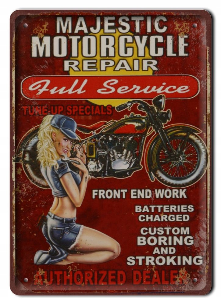 Harley Plakat Metalowy Szyld Obrazek Retro #20325