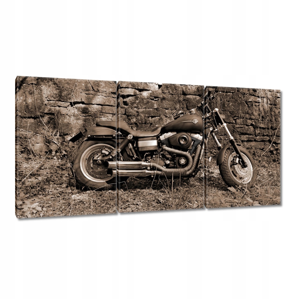 

Obrazy 120x60 Harley Davidson Motocykl