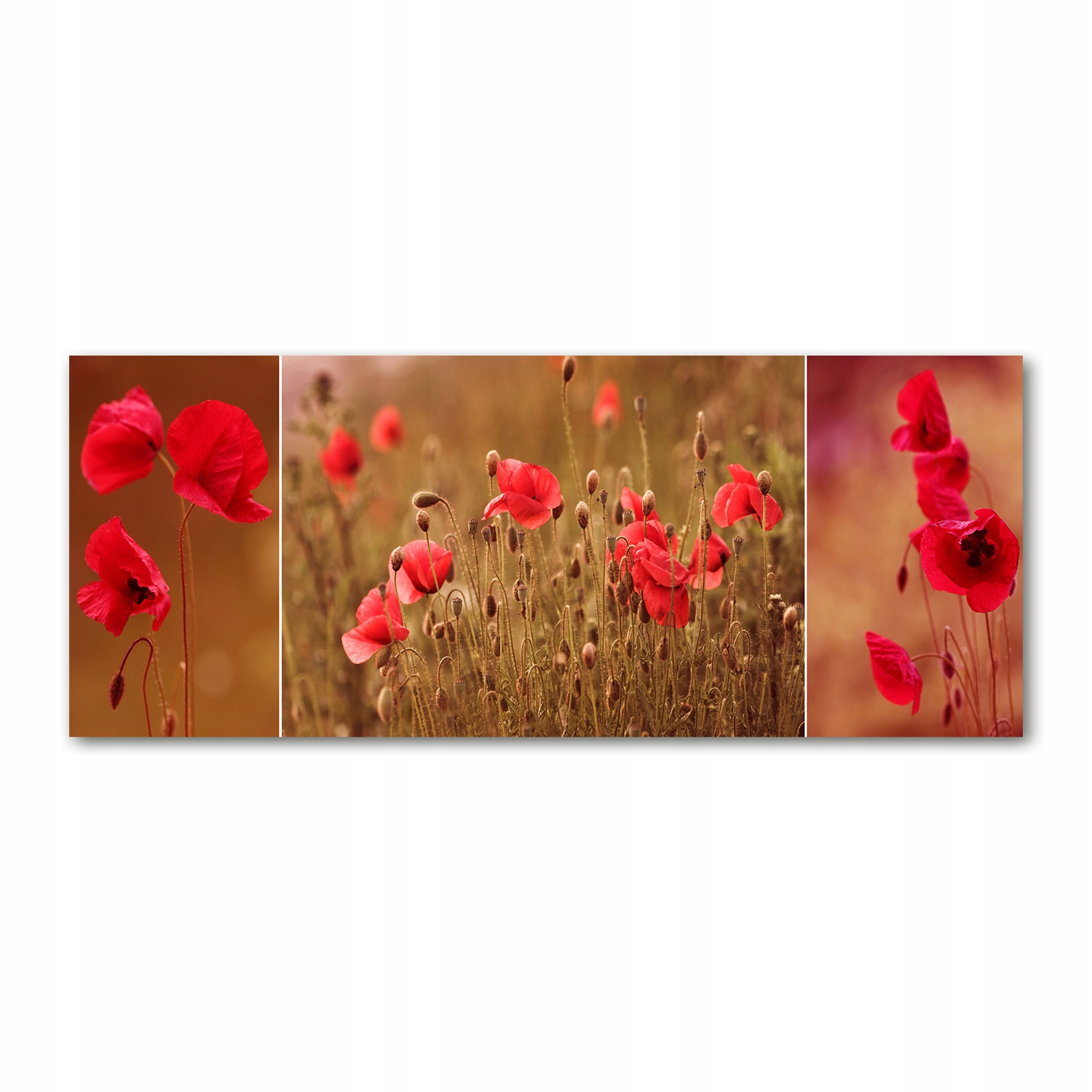 

Foto obraz akryl zdjęcie Maki mozaika 125x50 cm