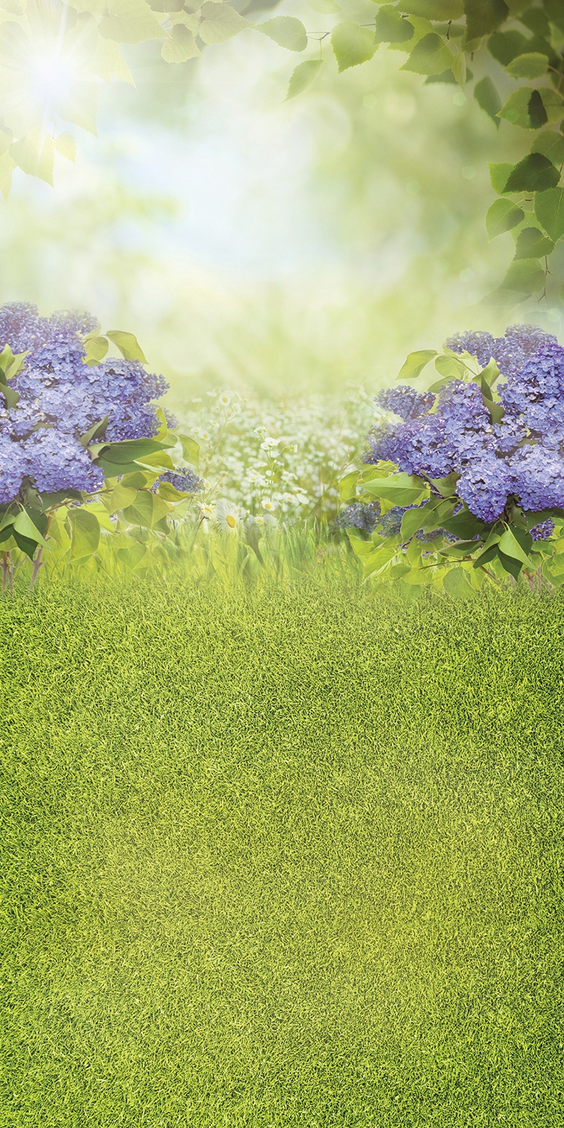 TŁA tło wielkanocne, tło wiosenne 160x400 WSN052 Kod producenta brak