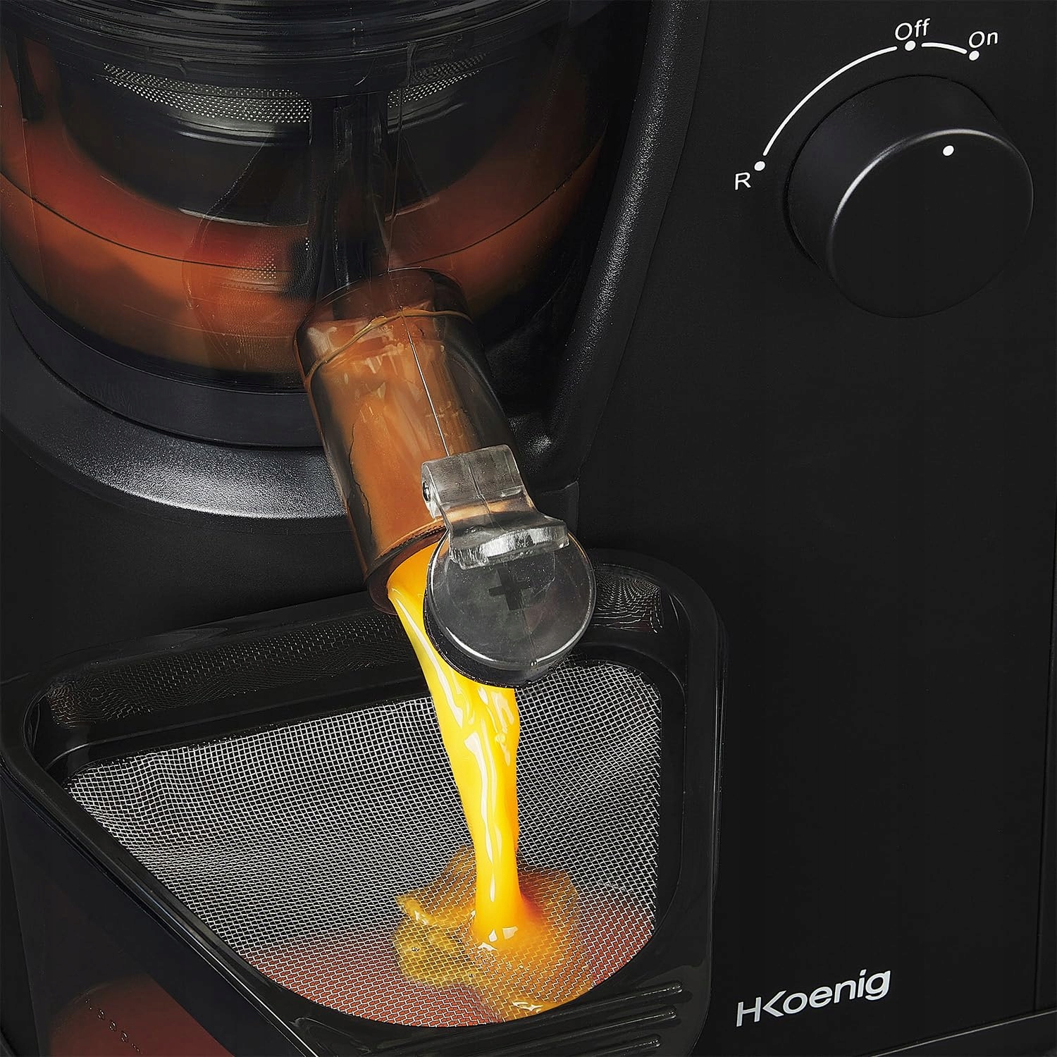HKOENIG GSX24 Wyciskarka Do Soków Z Owoców I Warzyw BPA Free 400W Srebrna — miniatura 8