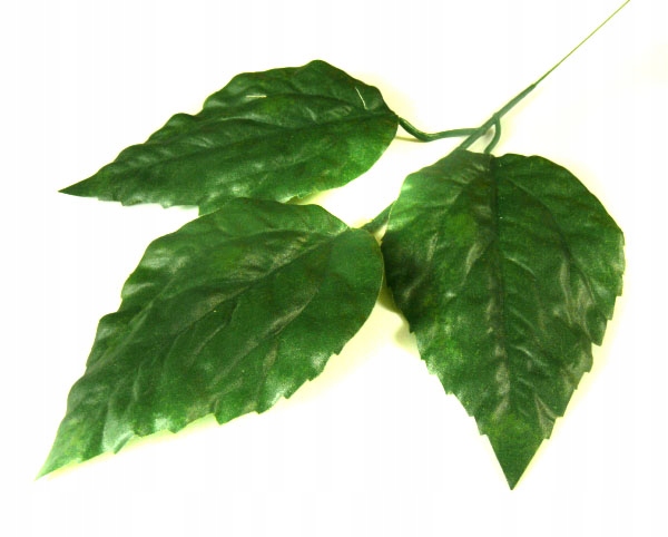 Liść SŁONECZNIK potrójna Gałązka LIŚCIE