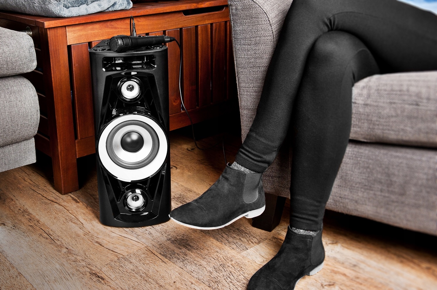 Głośnik Bluetooth Mikrofon Karaoke USB AUX GoGEN Rodzaj podłogowe