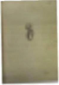 Poswatanie warszawskie - A Borkiewicz